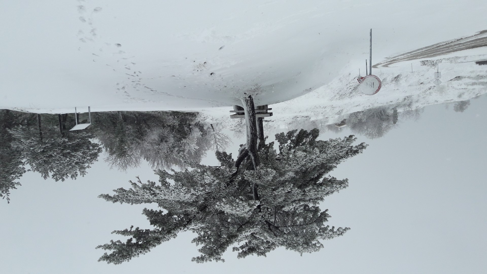 Razmisli i podijeli. tekst: Snijeg je trenutak kada svijet utihne, piše Samanta Knežević.